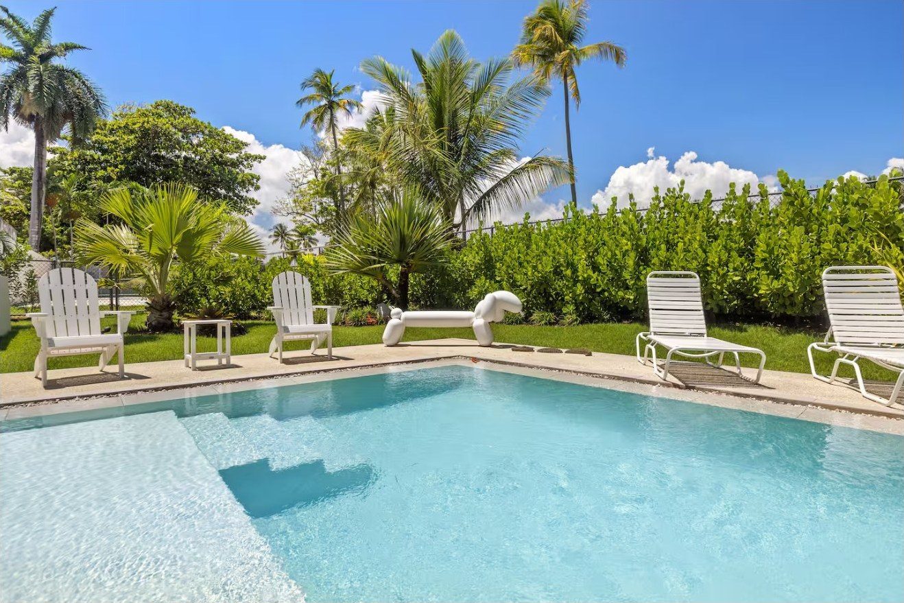 Pool and garden with loungers and palms