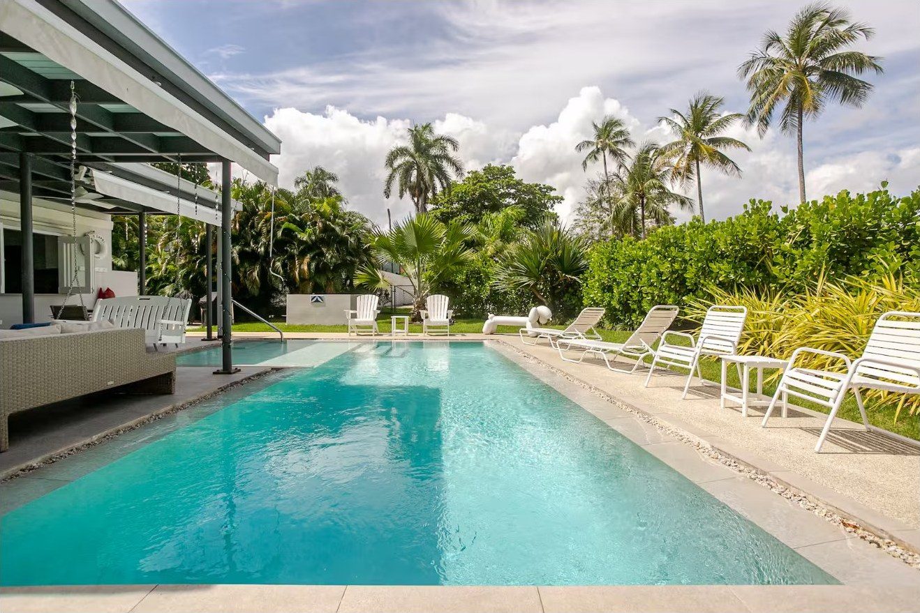 Poolside loungers under palms